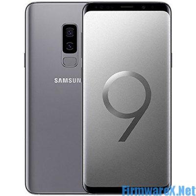 Samsung S9 Plus SM-G965F Combination File
